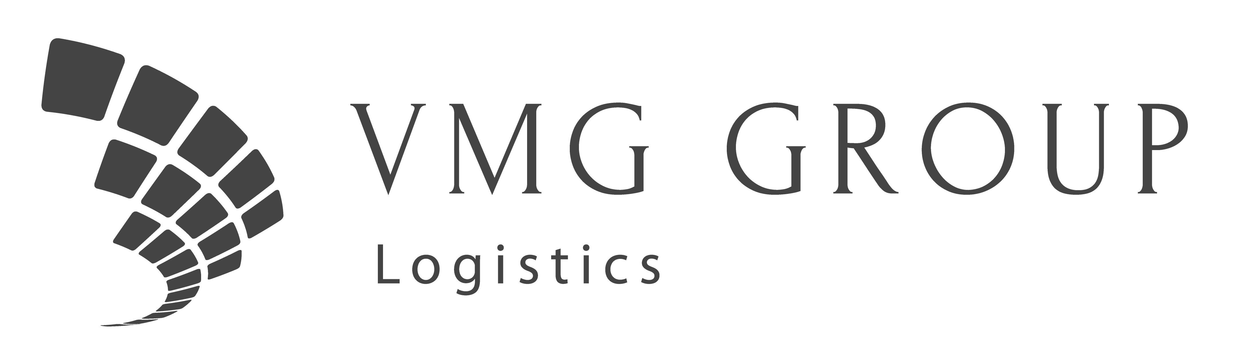 Logo VMG Group